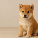 可愛的豆柴幼犬坐在木質地板上，正面凝視鏡頭，展現小巧迷你的體型與柔軟毛色。