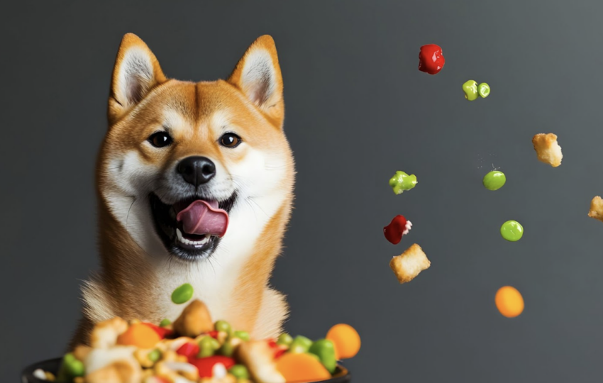 一隻柴犬開心地看著眼前飛散的食物顆粒與蔬菜，露出期待又興奮的表情