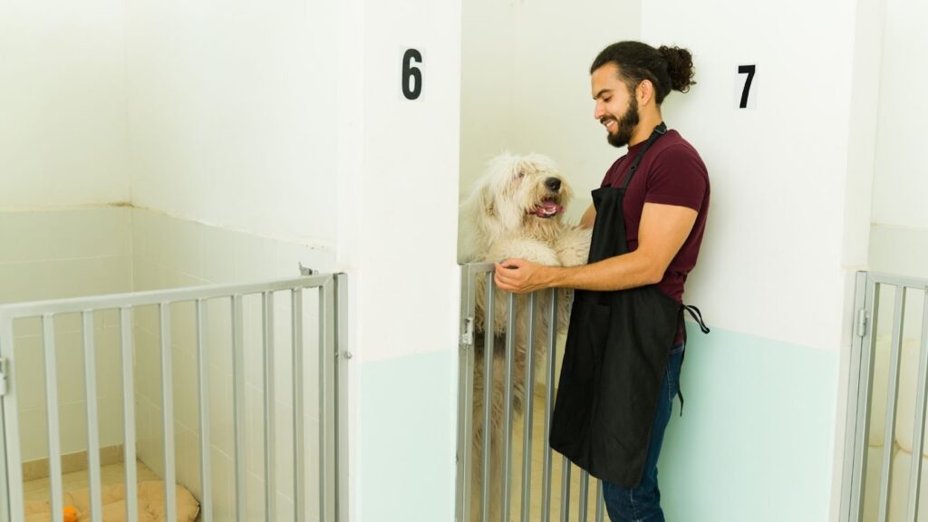 穿著黑色圍裙的男性工作人員在寵物舍內，隔著圍欄與一隻站立的白色長毛大狗親切互動