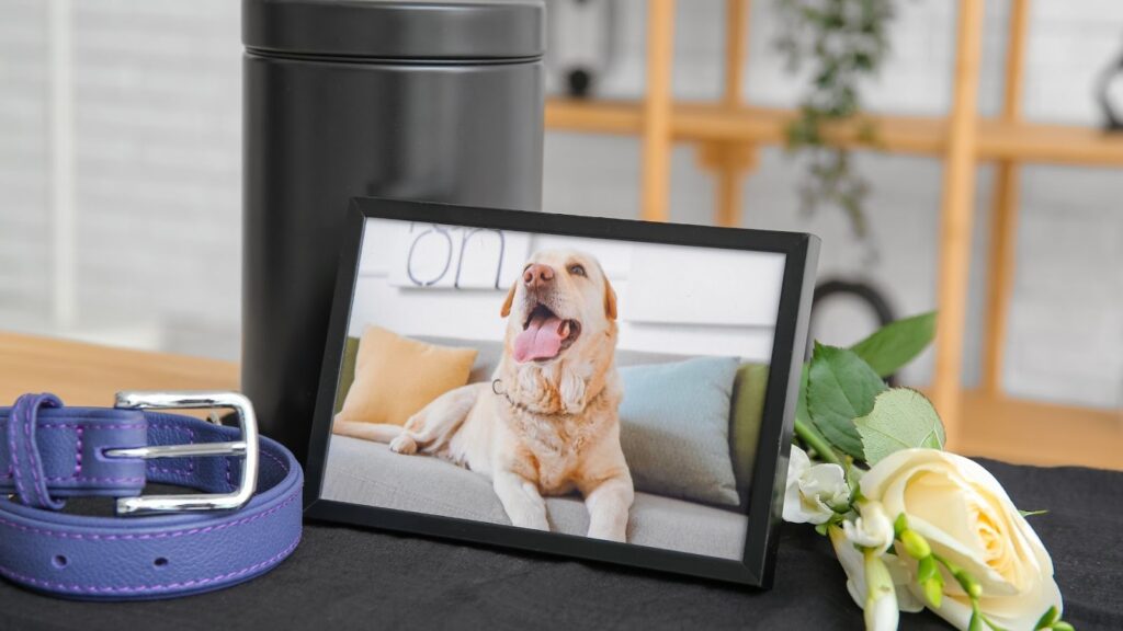 寵物紀念桌上擺放狗狗照片、骨灰罈與項圈,旁邊搭配白色花朵,呈現溫馨追思場景